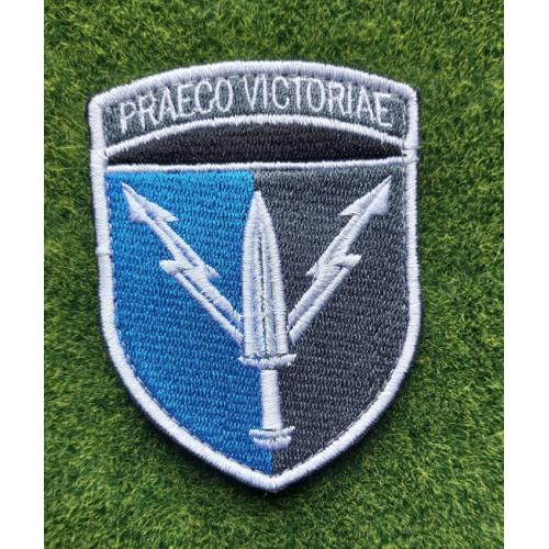 Шеврон ССО 111 Информационно-телекоммуникационный узел с девизом Praeco Victoriae № 3000