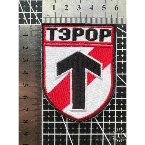 Шеврон ТЭРОР № 824