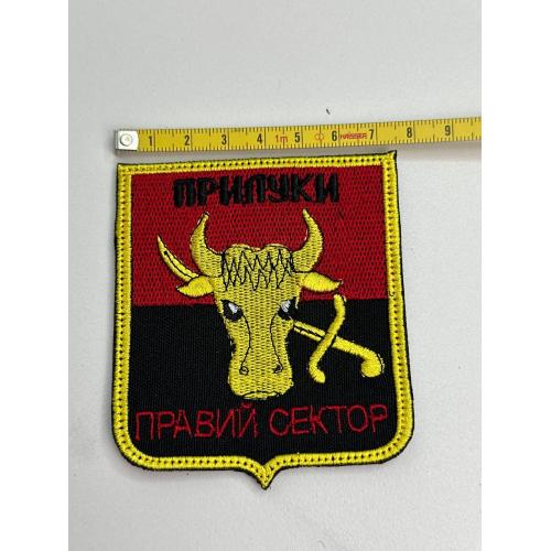 Шеврон Украина Правий Сектор Прилуки № 66