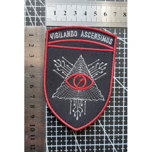 Шеврон Украина vigilando ascendimus  № 599