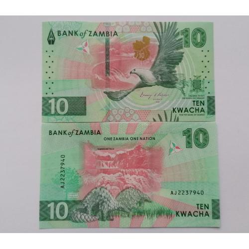 Замбия 10 квача 2024г. UNC. 