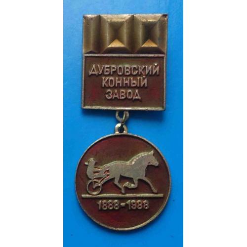 100 лет Дубровский конный завод 1888-1988 скачки лошадь