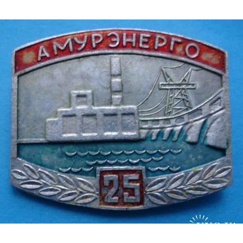 25 лет Амурэнерго