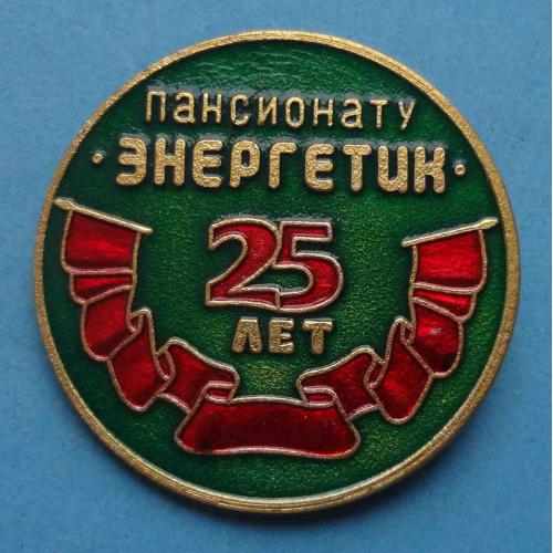 25 лет пансионату Энергетик (63)