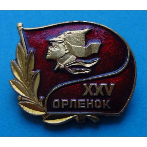25 лет Пионерский лагерь Орленок (56)