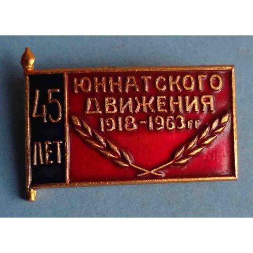 45 лет Юннатского движения 1918-1963 (39)