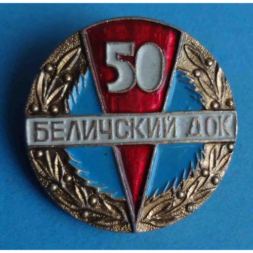 50 лет Беличский док (44)