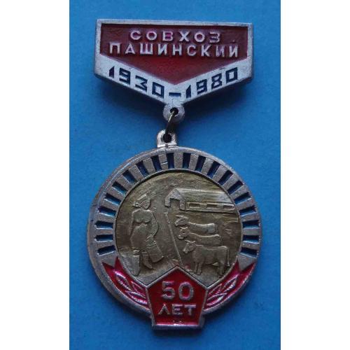 50 лет Совхоз Пашинский 1930-1980 коровы (66)