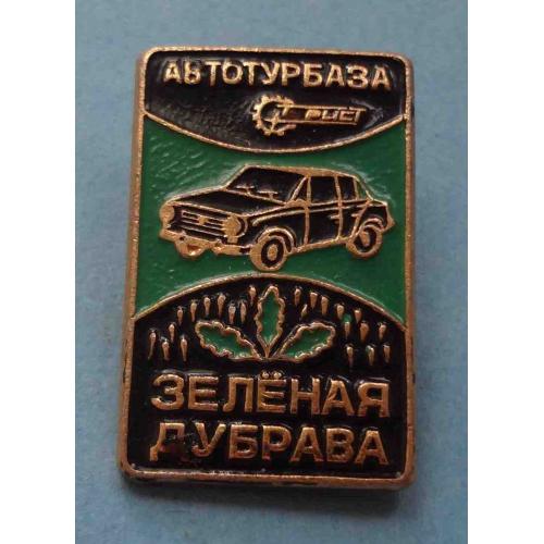 Автотурбаза Зеленая дубрава Турист авто (58)