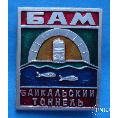 БАМ Байкальский тоннель жд поезд рыбки