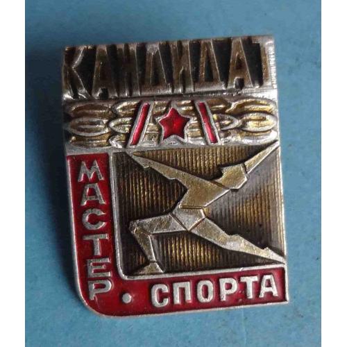 Кандидат Мастер спорта Гимнастика (64)