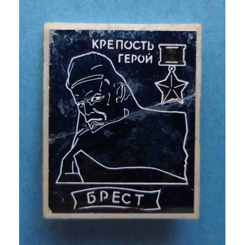 Крепость-герой Брест ситалл (59)
