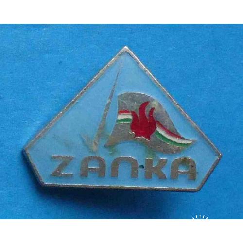 Международный пионерский лагерь ZANKA Занка Венгрия