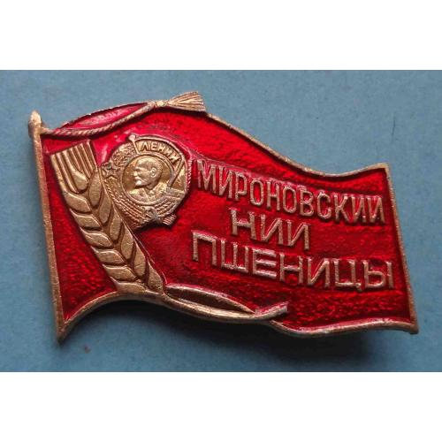 Мироновский НИИ пшеницы Орден Ленин (58)