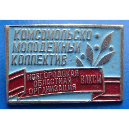 Новгородская областная организация ВЛКСМ