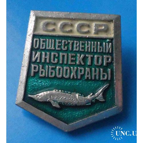 Общественный инспектор рыбоохраны СССР рыба осетр 2