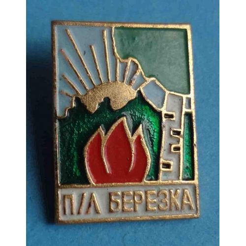 Пионерский лагерь Березка (57)