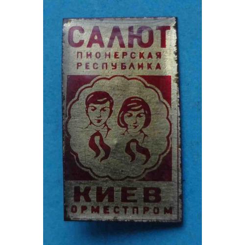 Салют Пионерская республика Киев Горместпром пионерия (64)