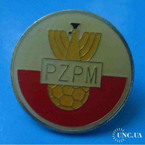 Сборная Польши по футболу Чемпионат мира по футболу 2006