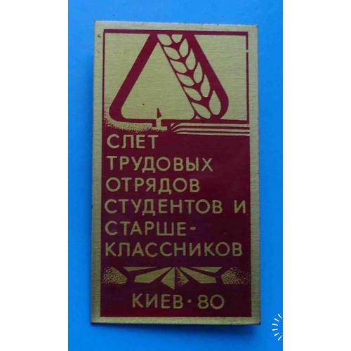 Слет трудовых отрядов студентов и старшеклассников Киев 1980 герб ССО ВЛКСМ 2