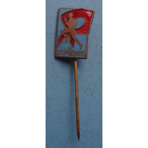 СМ Родина пионерия (64)