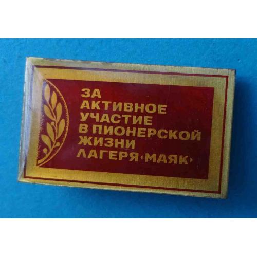 За активное участие в пионерской жизни лагеря Маяк пионерия (64)