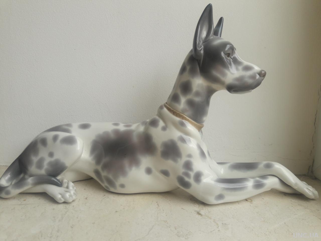 Nemeckij Dog Lladro Ispaniya Kupit Na Aukcion Dlya Kollekcionerov Unc Ua