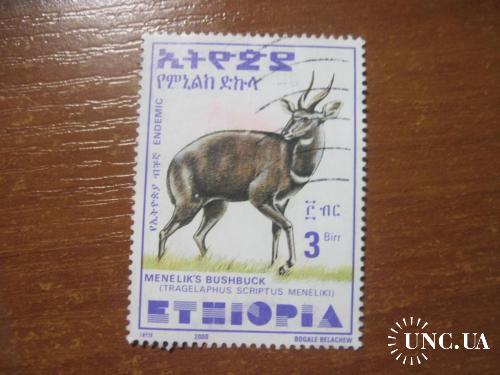 Эфиопия 2000  антилопа фауна ГАШ