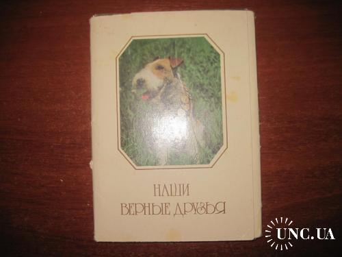 Наши верные друзья Собаки  набор из 20 откр. Москва 1987