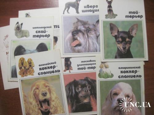 Наши верные друзья выпуск 2 Собаки  набор из 20 откр. Москва 1991