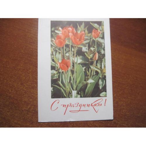 с праздником 1965 кропивницкий тюльпаны   ПП