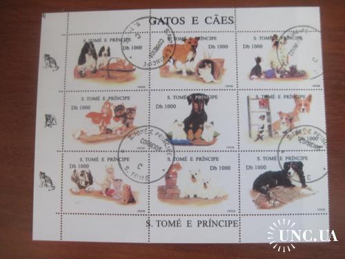 Сан-Томе и Принсипи 1995 коты с собаками фауна  Малый лист СТО
