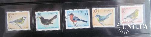 Швеция Птицы Фауна 1970 5 шт