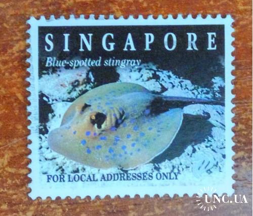 Сингапур Фауна скат рыбы   ГАШ