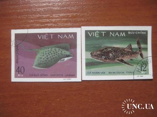 Вьетнам 1981 Фауна Рыбы ГАШ