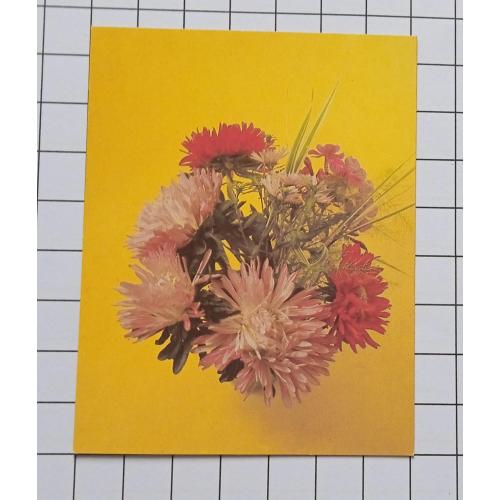 Открытка А. Тяпченкова