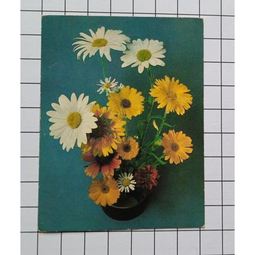 Открытка А. Тяпченкова