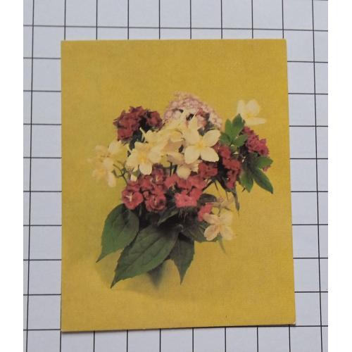 Открытка А. Тяпченкова