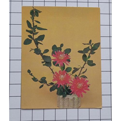 Открытка Е. Артёмова, А. Михайлова