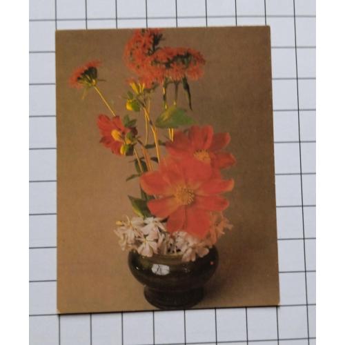 Открытка Е.Савалова