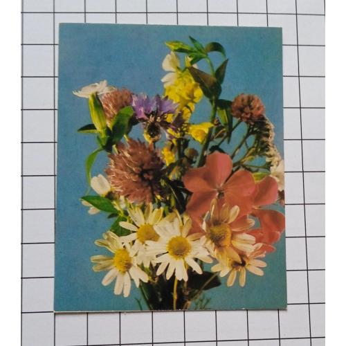 Открытка Е. Савалова