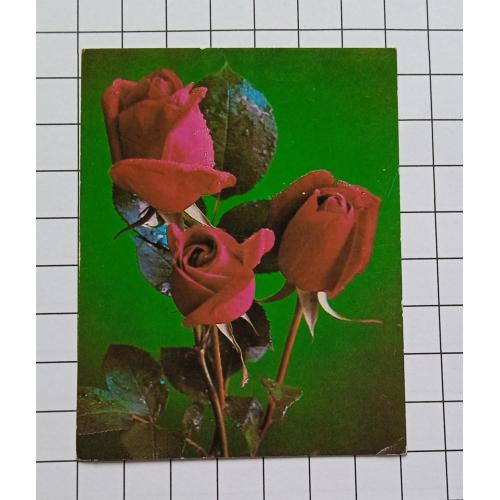 Открытка Г. Костенко 