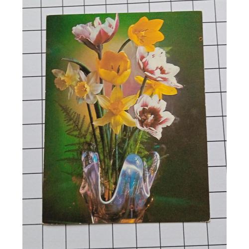 Открытка Г. Костенко 