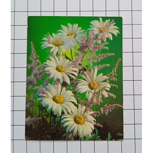 Открытка Г. Костенко 