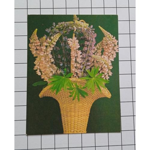 Открытка Э. Стейнерт 