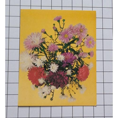 Открытка В. Митина