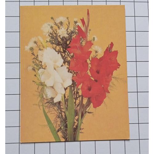 Открытка В. Митина