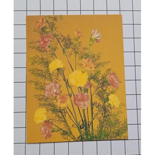 Открытка Ю. Шарова 