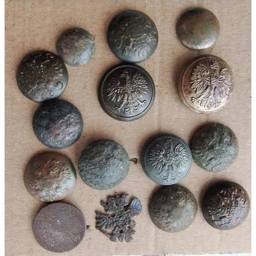 Гудзики РІ та Польщі.