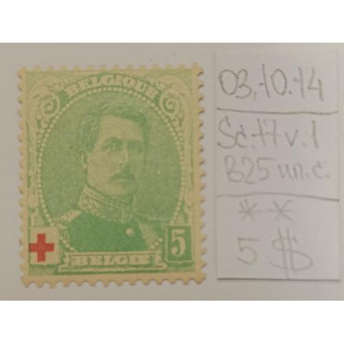 Бельгія, 1914 рік, Благодійна організація Червоного Хреста